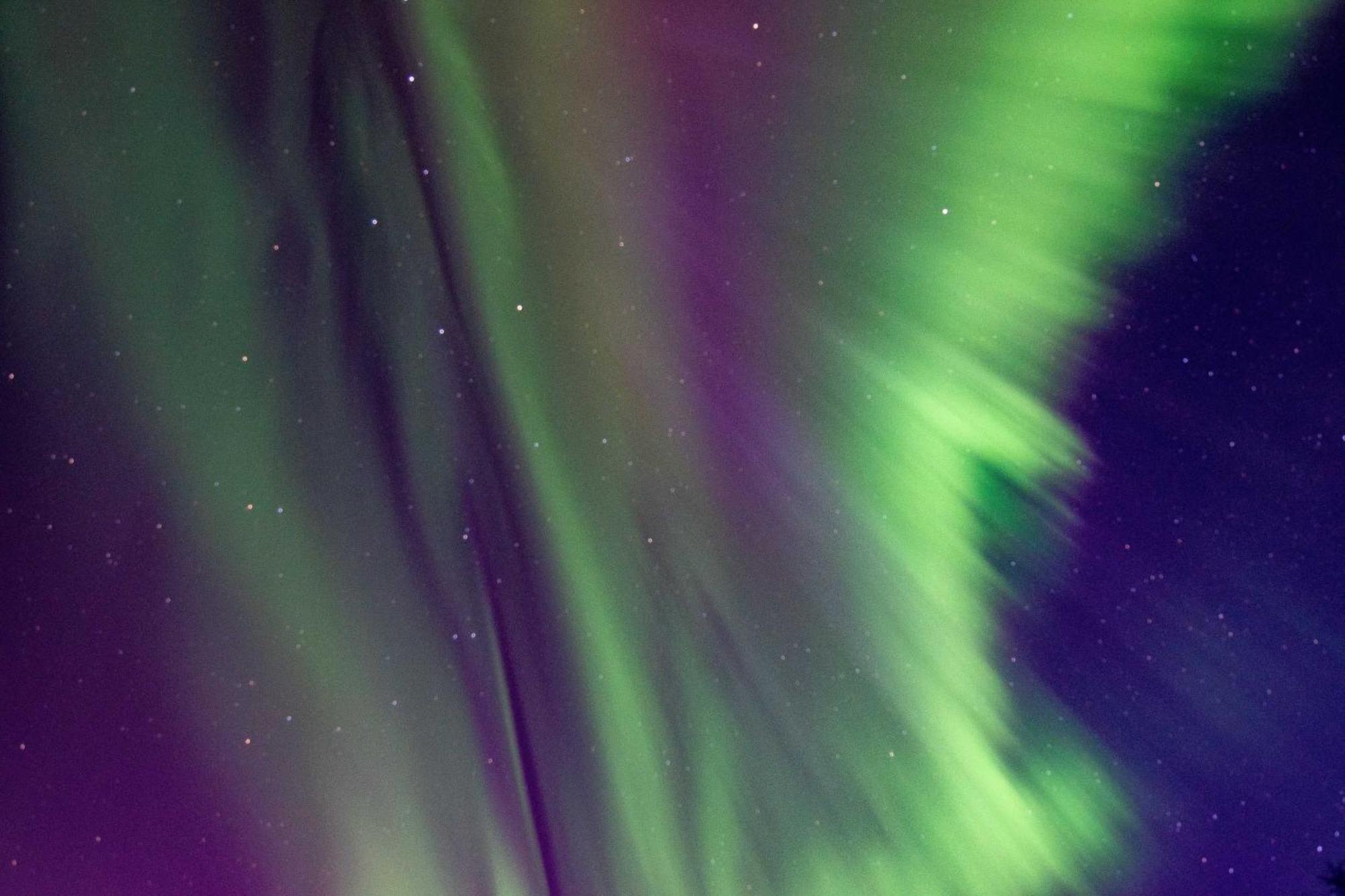 Riverside Log Cabin On-Site Aurora Viewing! North Pole エクステリア 写真